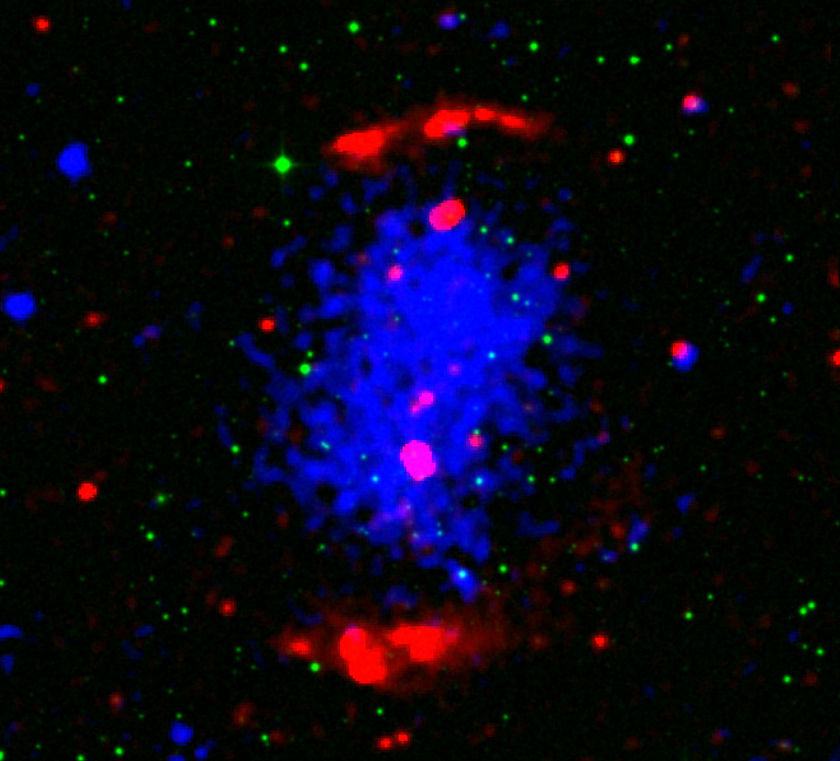 Original TRG filaments