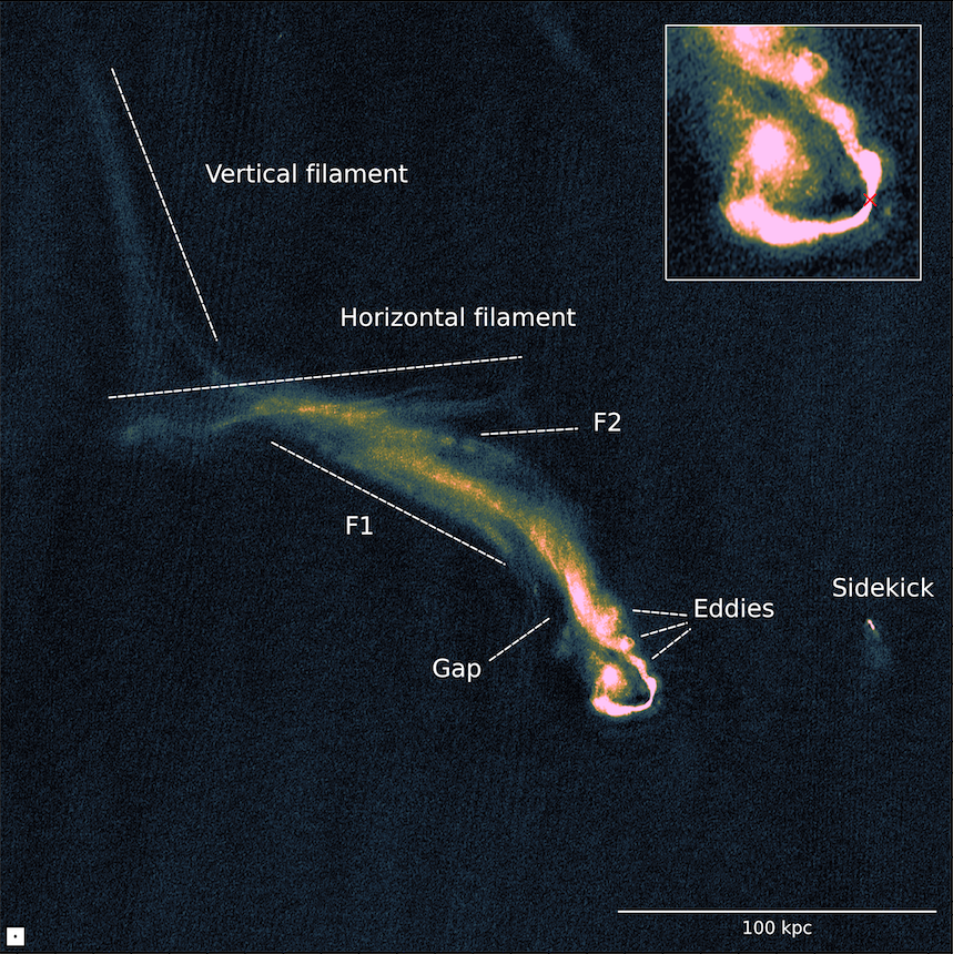 Original TRG filaments
